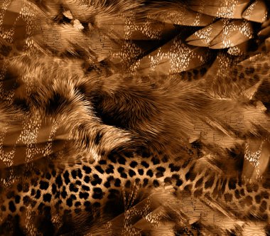 Kumaş desenler, modern moda tasarımları.