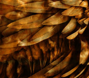 Kumaş desenler, modern moda tasarımları.