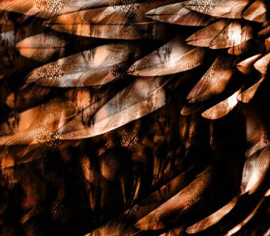 Soyut dekoratif geometrik süs. Yazdırma, Yeni Sezon, Kolaj Moda Çalışmaları, Yeni Moda Tasarım Şablonları.