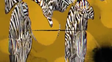 Fraktal dalga animasyonu. Psikedelik 3D Soyut Animasyon Rengi Dalgası Yumuşak Duvar. Çok Renkli Değişken Değişken Değişken Değişken Akışkan Akışkan Akışkan Akışkan Akış Şablonu. Renkli Gradyan dalga deseni