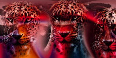 Leopar Tekstil deseni. Geometrik Çizgiler Moda Tasarımı. Soyut geometrik girdap fraktal.Tie Dye Arkaplan. Hippie soyut psikedelik çizgili renkler. Tekstil çizimi.