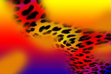 Leopard Textile print pattern.Geometric Lines Pattern Fashion Design.Abstract geometric swirl fractal.Tie Dye Background.Hippie abstract psychedelic stripe colors.Textile illustration