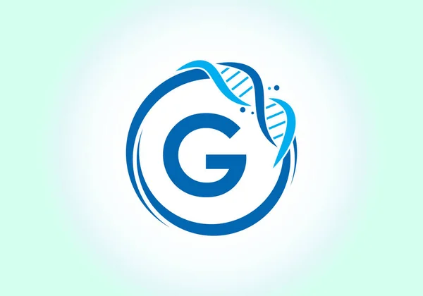 G harfi monogram alfabesi DNA 'lı bir daire içinde. Genetik logo tasarımı konsepti. Yazı tipi amblemi. Tıp, bilim, laboratuvar, iş ve şirket kimliği için modern vektör logosu