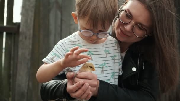 Παιδί και μητέρα κρατώντας ένα νεοσσό στο χέρι στην αυλή της φάρμας — Αρχείο Βίντεο