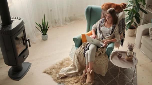 Fernbedienung. Junge Frau sitzt mit Laptop im gemütlichen Sessel und kariert am Kamin mit einer Hauskatze und trinkt zu Hause Tee — Stockvideo
