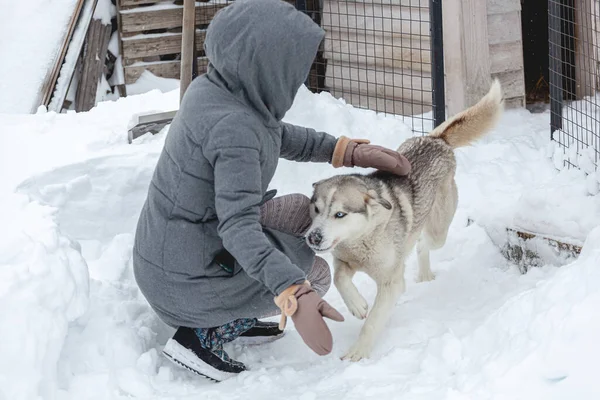 Sibirya Köpeğiyle Eğlenen Bir Kadın — Stok fotoğraf
