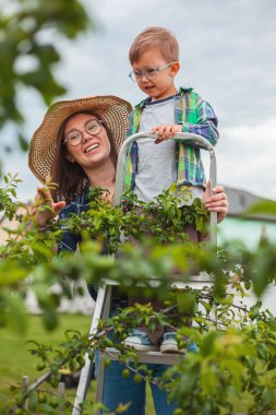 Anne ve çocuk ağaçların yanındaki merdivende bahçede bahçeyle uğraşıyorlar.