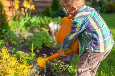 Çocuk sulama konservesi bahçedeki sebze bahçesini suluyor.