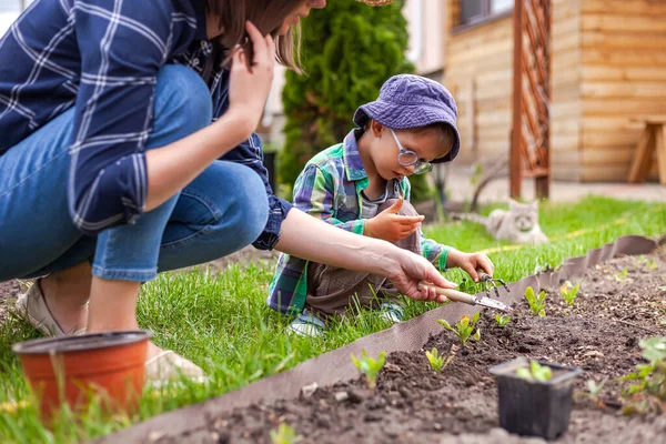 后院里蔬菜园里的儿童和母亲园艺 免版税图库图片
