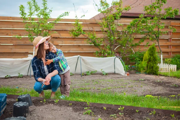 밭에서 자녀와 어머니가 정원을 가꾸는 스톡 사진