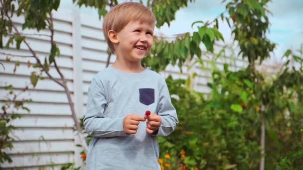 Diversão feliz Criança 4 anos segurando framboesas nas mãos, sorrindo e rindo no quintal — Vídeo de Stock