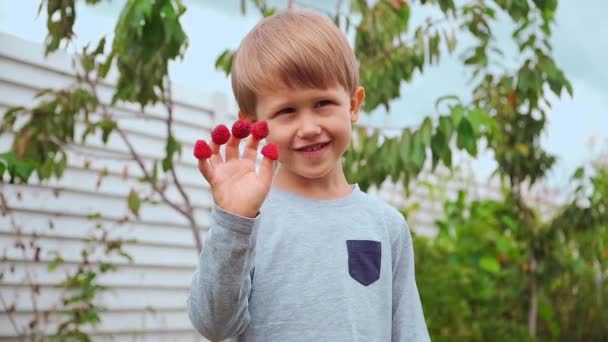 Ευτυχισμένο παιδί 4 ετών που κρατιέται χέρι-χέρι στα δάχτυλα και τρώει σμέουρα στην πίσω αυλή — Αρχείο Βίντεο