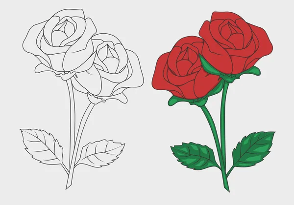 kırmızı gül çizimi ve renklendirmesi