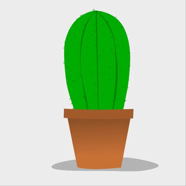 illustration of a green cactus with a pot