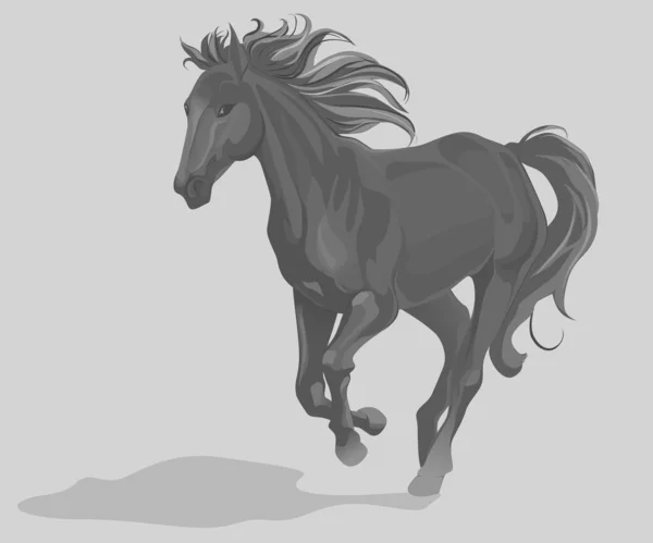 illustration of an elegant black horse