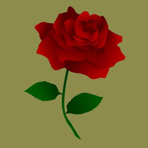Bella Rosa Rossa Illustrazione — Vettoriale Stock