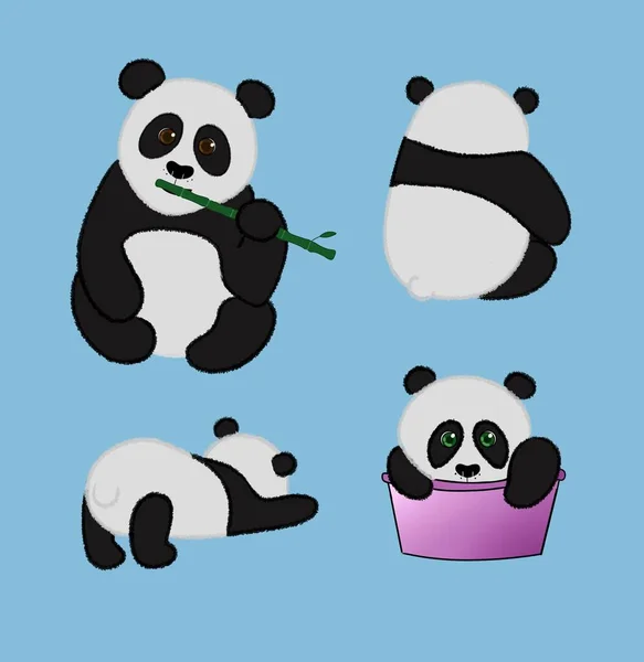 Şirin pandalar, tembel pandalar. 
