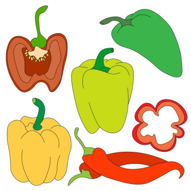 set of bell peppers (red, yellow, green), hand-drawn. Whole peppers, halves with seeds and cut into pieces. Food, vegetables in flat style. illustration is vector, isolated. Paprika