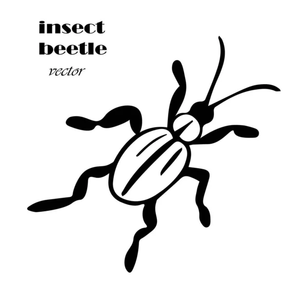 ドッドルスタイルのビートル ベクトル黒昆虫のドドルのスタイルで カブトムシ 寄生虫 害虫との簡単なテクスチャ 手描きのスケッチ トップビュー — ストックベクタ