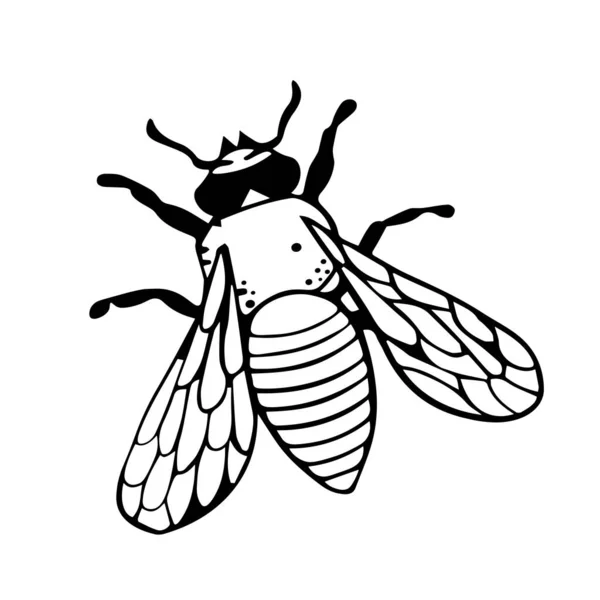 ドドルのスタイルで翼と一緒に飛ぶ ベクトル黒の単純な昆虫 ビート スケッチ手描きのシンボル トップ表示ヴィンテージ — ストックベクタ