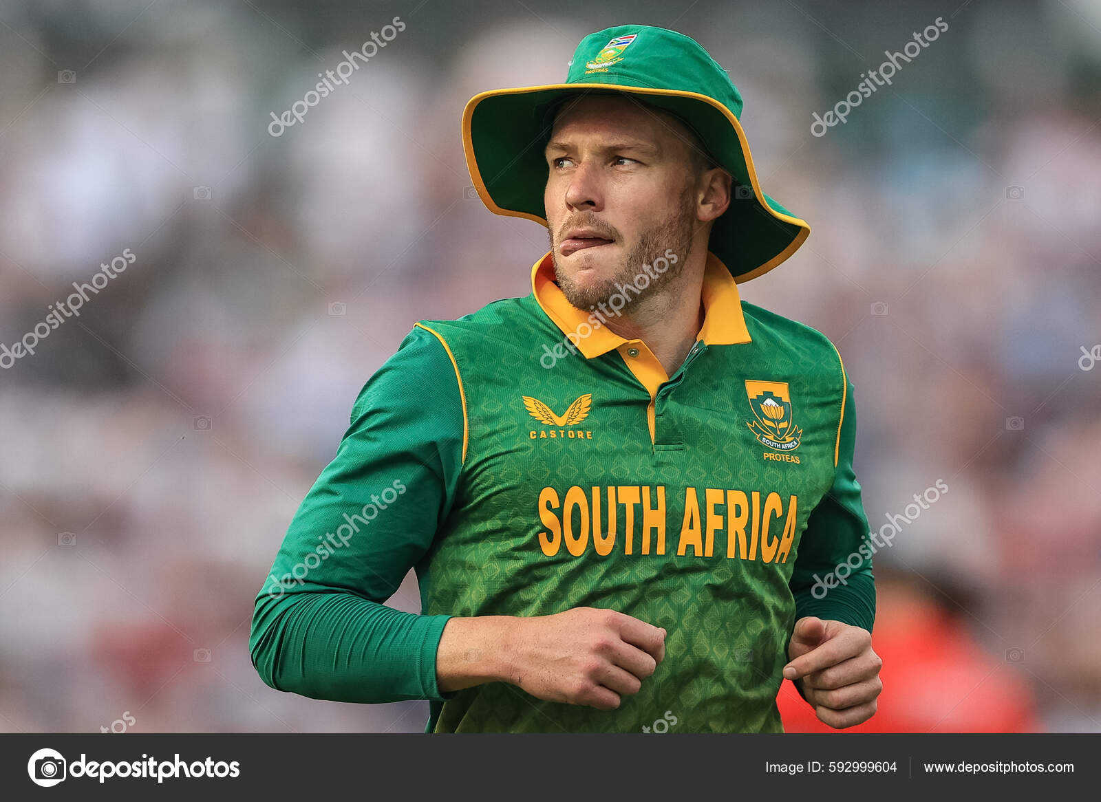 David miller Stock Photos, Royalty Free David miller Images | Depositphotos David miller Stock Photos, Royalty Free David miller Images | Depositphotos
