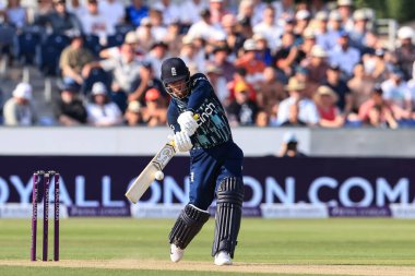 Maç sırasında İngiltere 'den Jason Roy