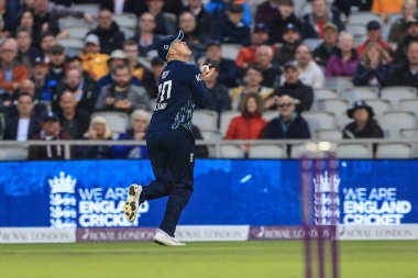 İngiltere 'den Jason Roy Güney Afrikalı Dwaine Pretorius' u yakaladı