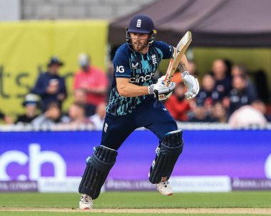 İngiltere 'den Phil Salt oyun sırasında iş başında