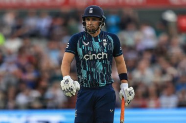 İngiliz David Willey, Güney Afrikalı Heinrich Klaasen tarafından yakalanırken gökyüzüne bakıyor.