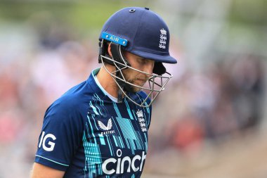 İngiliz David Willey, Güney Afrikalı Heinrich Klaasen tarafından yakalanırken gökyüzüne bakıyor.