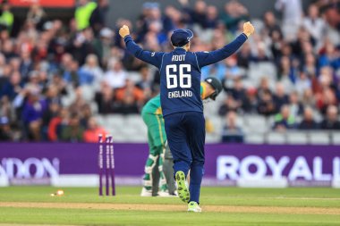 İngiltere 'nin Joe Kökü Güney Afrikalı David Miller' ın kalesiyle kutluyor