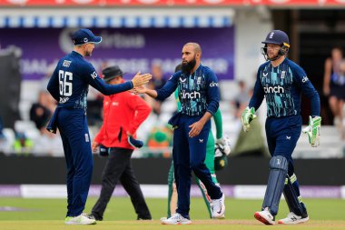 İngiltere 'den Joe Root, Güney Afrikalı Rassie Van Der Dussen' in kalesini aldığı için İngiltere 'den Adil Rashid' i tebrik ediyor.