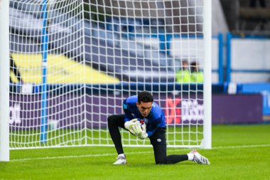 Lee Nicholls #21 of Huddersfield Town during the warm up 