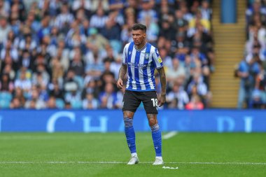 Marvin Johnson #18 of Sheffield Wednesday during the game