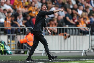 Shota Arveladze manager of Hull City during the game