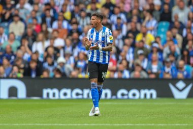 Marvin Johnson #18 of Sheffield Wednesday shouts at his teammates