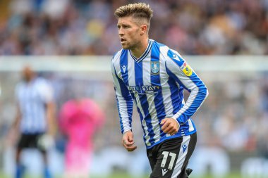 Josh Windass #11 of Sheffield Wednesday during the game 