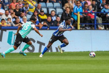 Fisayo Dele-Bashiru #17 of Sheffield Wednesday runs with the ball
