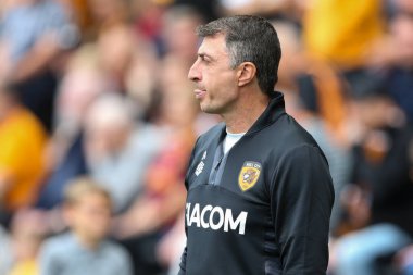Shota Arveladze manager of Hull City 