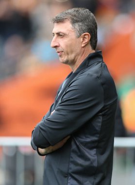 Shota Arveladze manager of Hull City 