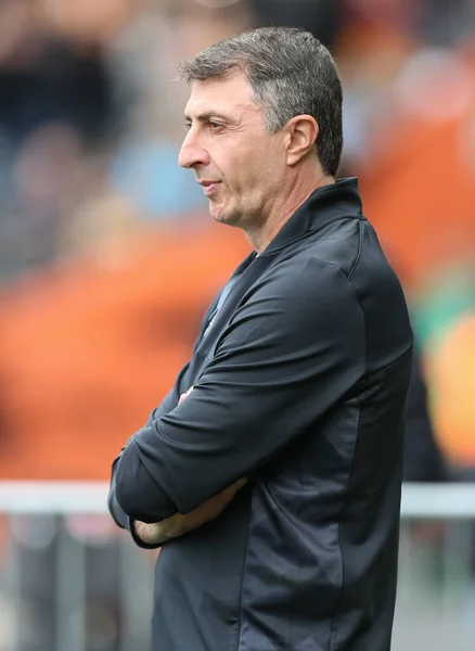 Shota Arveladze Manager Hull City — Stockfoto