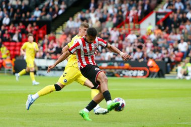 Iliman Ndiaye #29 of Sheffield United Shoots and scores a goal to make it 1-0