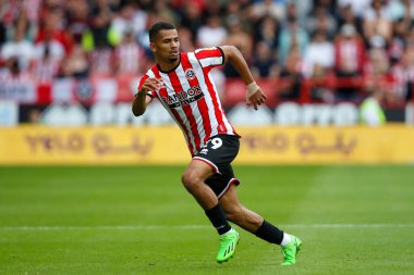 Iliman Ndiaye #29 of Sheffield United 