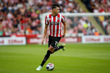 Anel Ahmedhodzic #15 of Sheffield United 