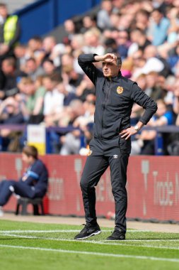 Shota Arveladze manager of Hull City during the game 