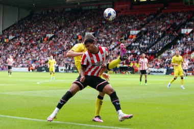 Oliver McBurnie #9 of Sheffield United and Murray Wallace #3 of Millwall