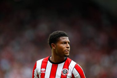 Rhian Brewster #7 of Sheffield United 