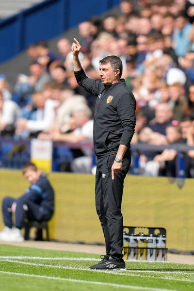 Shota Arveladze Manager Hull City Gestures His Players — Stock Photo, Image