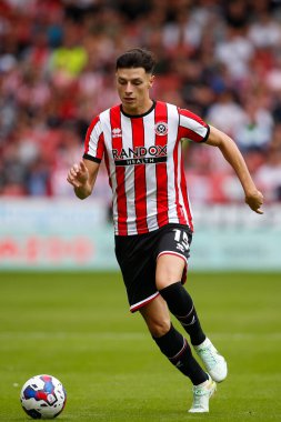 Anel Ahmedhodzic #15 of Sheffield United