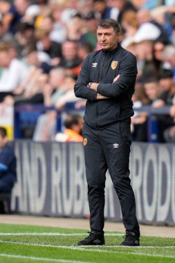 Shota Arveladze manager of Hull City during the game 